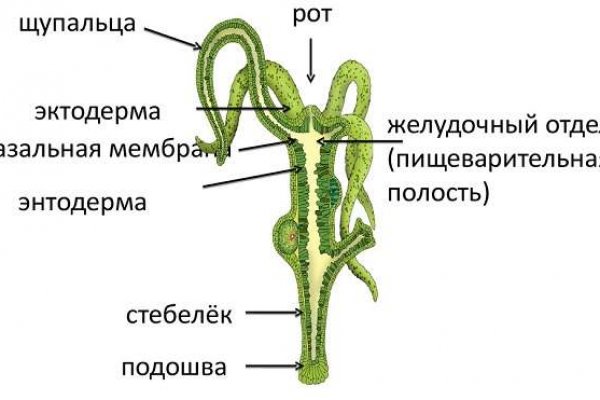 Блэкспрут площадка blacksprut2web in blacksprut cam