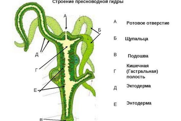 Блэкспрут отзывы