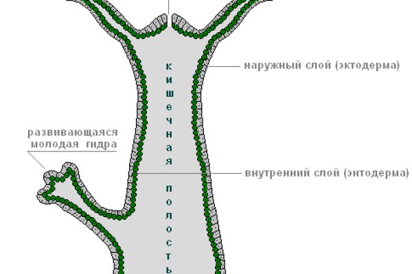 Новая blacksprut