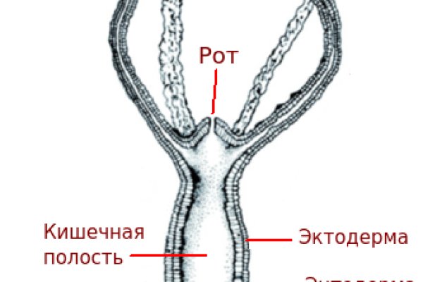 Блэк спрут сайт скачать